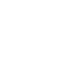 Comprehensive Plant Auditing